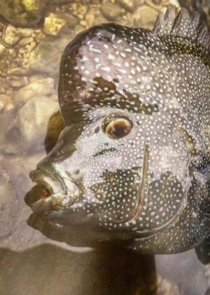 Tips for fishing during our hot summer months
