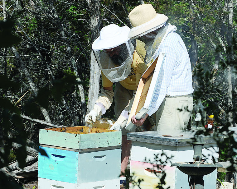 Alamo Area Beekeepers Association – San Antonio, Texas
