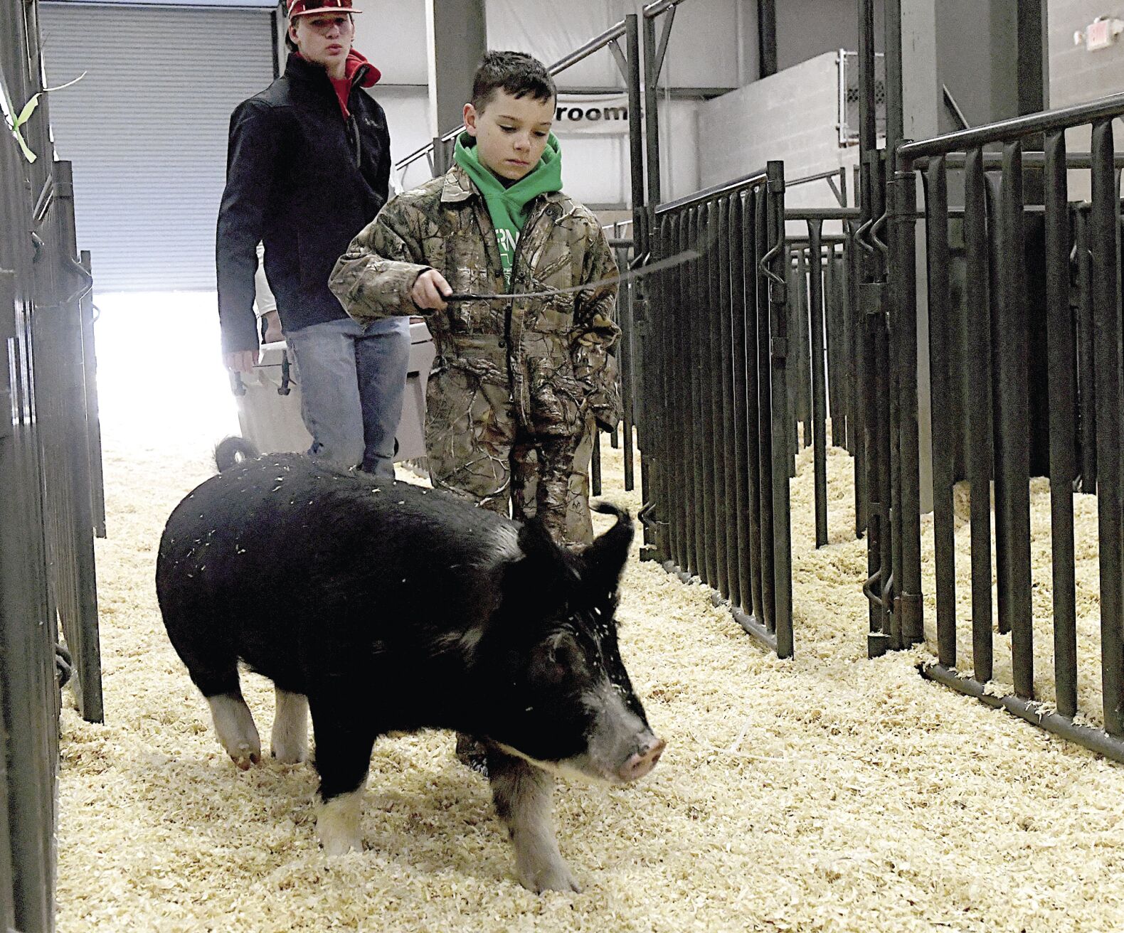 Area 4-H, FFA Youth Compete In Grandstand Show | Local News ...