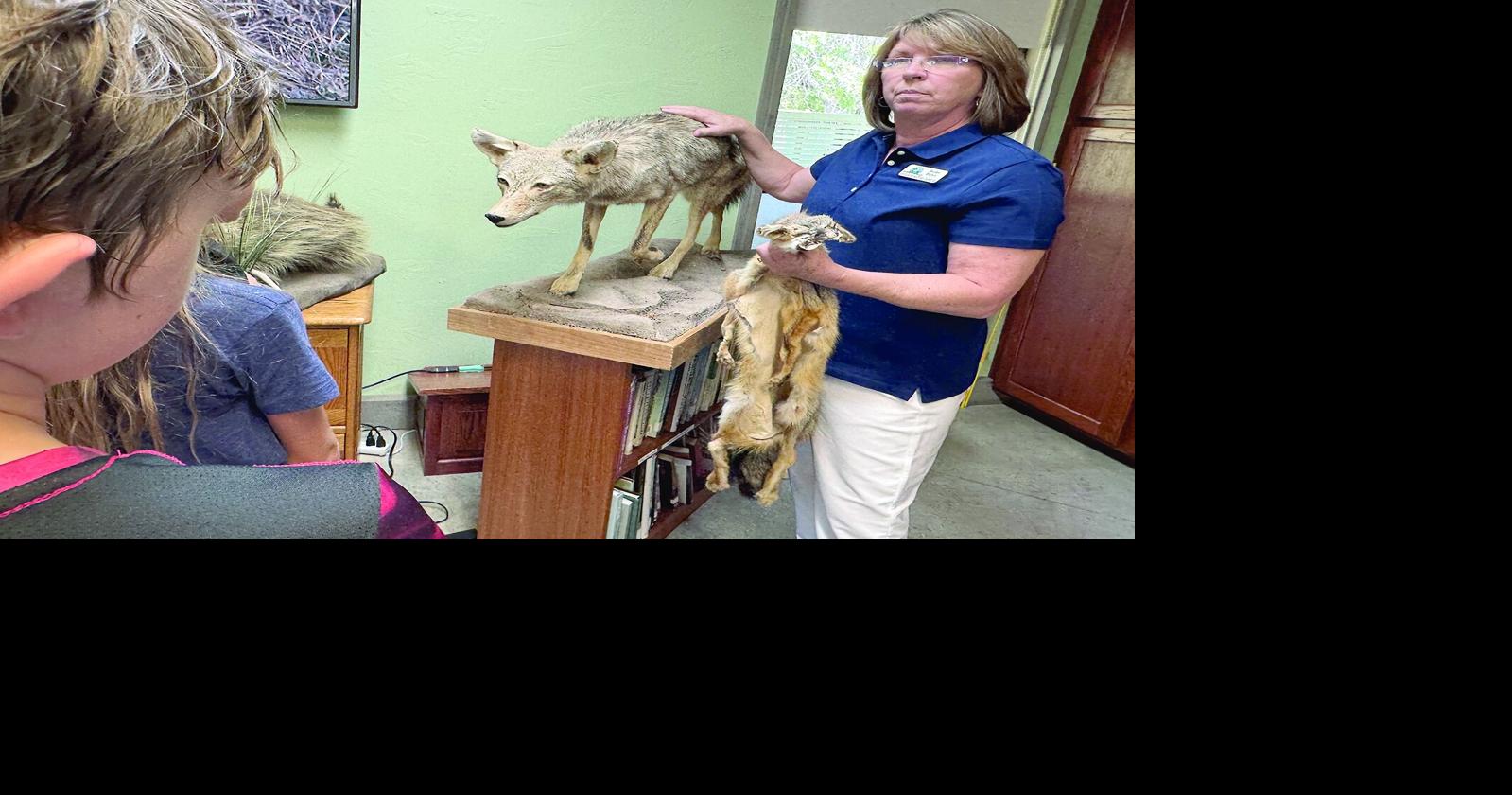 Kids explore mammals and more at Riverside Rangers | Education ...