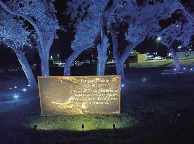 Peterson Hospice Tree of Lights event to benefit Blessing Fund Local