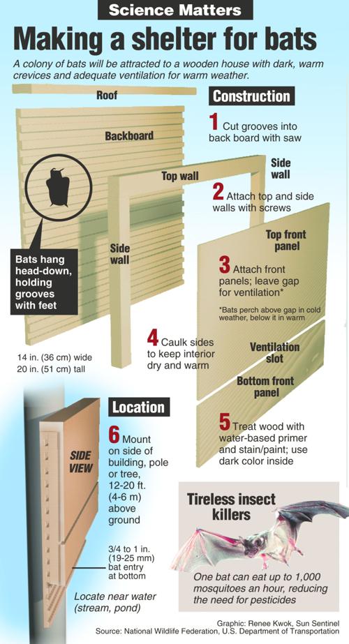 How to build a bat house Multimedia