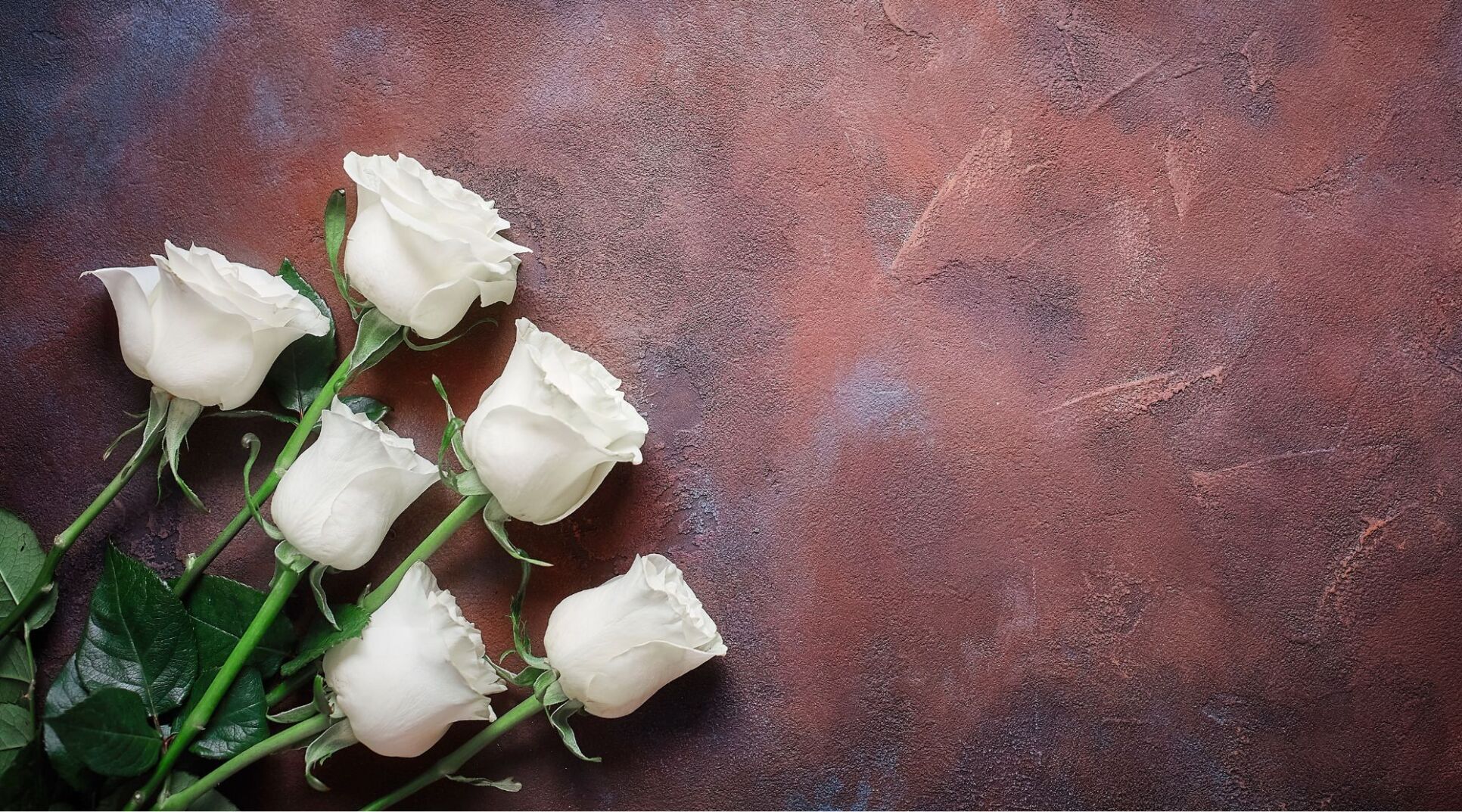 Funeral services pending | Obituaries | dailytimes.com