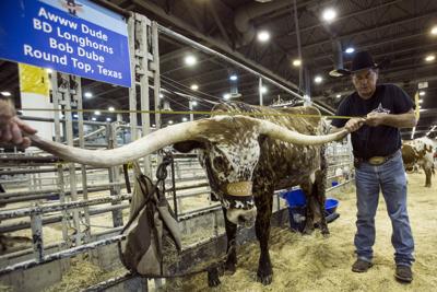 Coronavirus Pandemic Leads To Disruptions Across Texas Nation Promotions Dailytimes Com