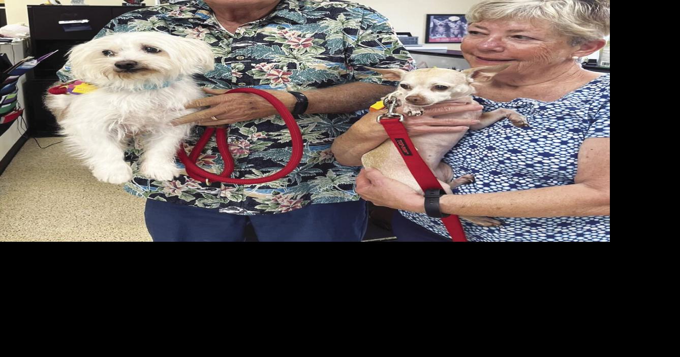 Freeman-Fritts Animal Shelter helps senior pets celebrate the holidays with forever homes | Opinion