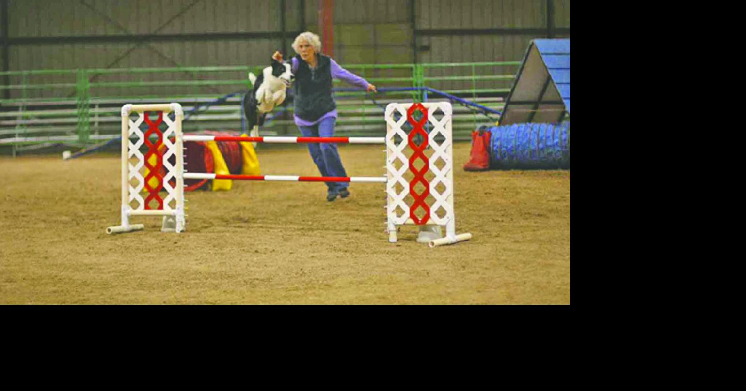 Allbreed dog show set for March 911 in Kerrville News
