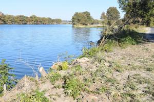 Prime time for planting along river's edge