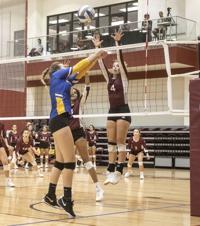 Schreiner Dailytimes Com