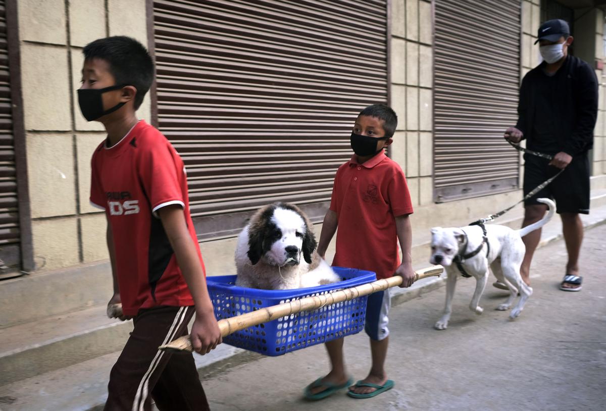 Virus Outbreak India