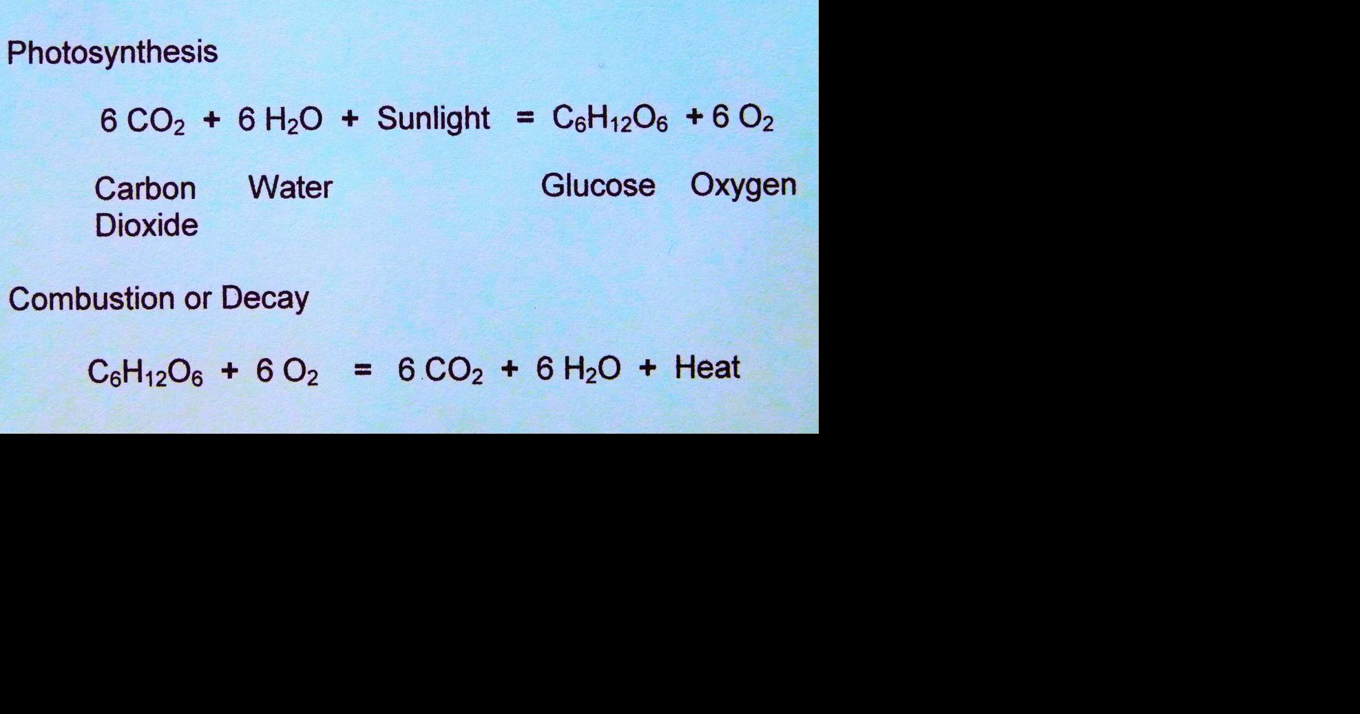 Photosynthesis and the carbon cycle | Lifestyles | dailytimes.com