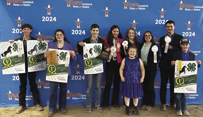 Local 2379 Kerr 4-H horse judging team heads to state contest | Local News ...