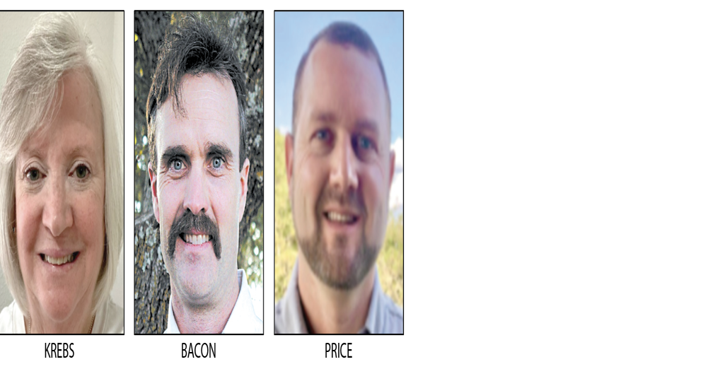 Harper ISD board of trustees seats all at large News