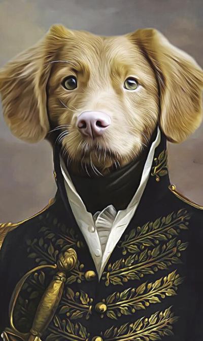 Treat Fluffy and Fido like royalty Events dailytimes com