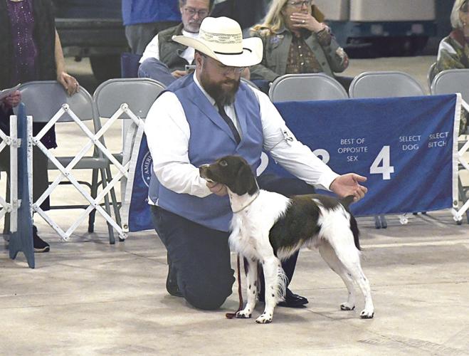 Dog owners demonstrate pets' best qualities at Kerrville show News