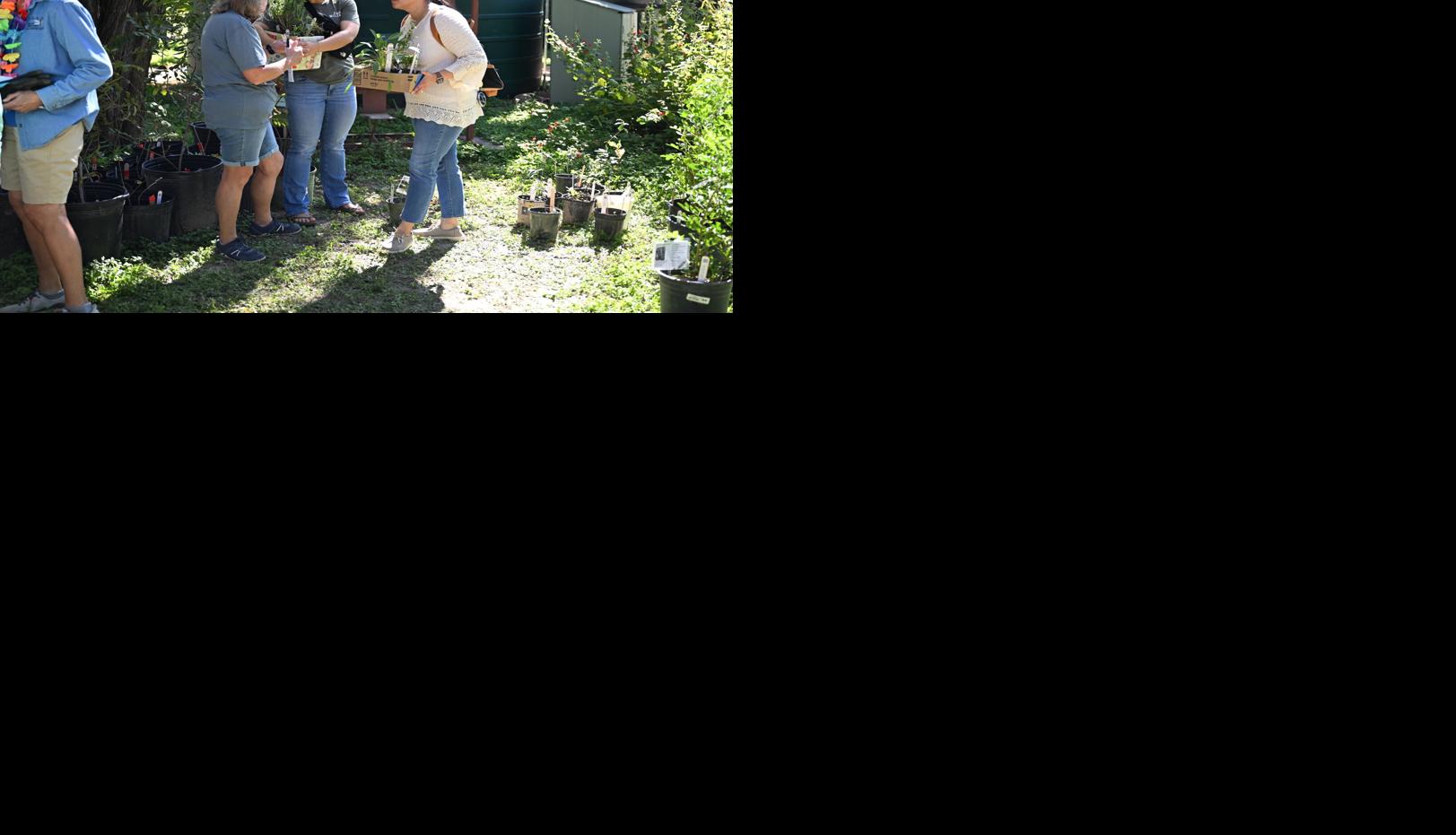 Riverside Nature Center hosts rescheduled fall native plant sale | News ...