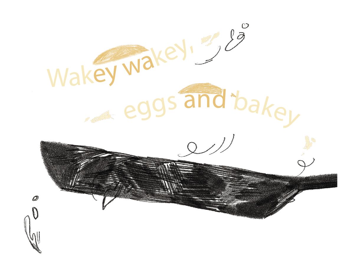 Wakey Wakey, Eggs and Bakey 