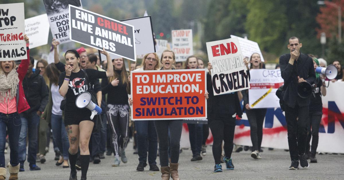 Hundreds protest in second No New Animal Lab march | News 