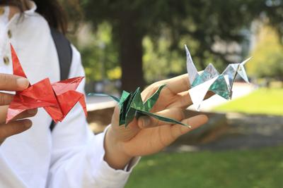 Teach Me How To Hobby Origami Arts And Leisure Dailyuw Com