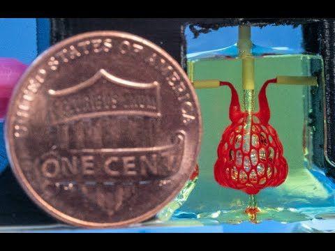 First Steps To 3d Printing Organs Accomplished At Uw Science Dailyuw Com