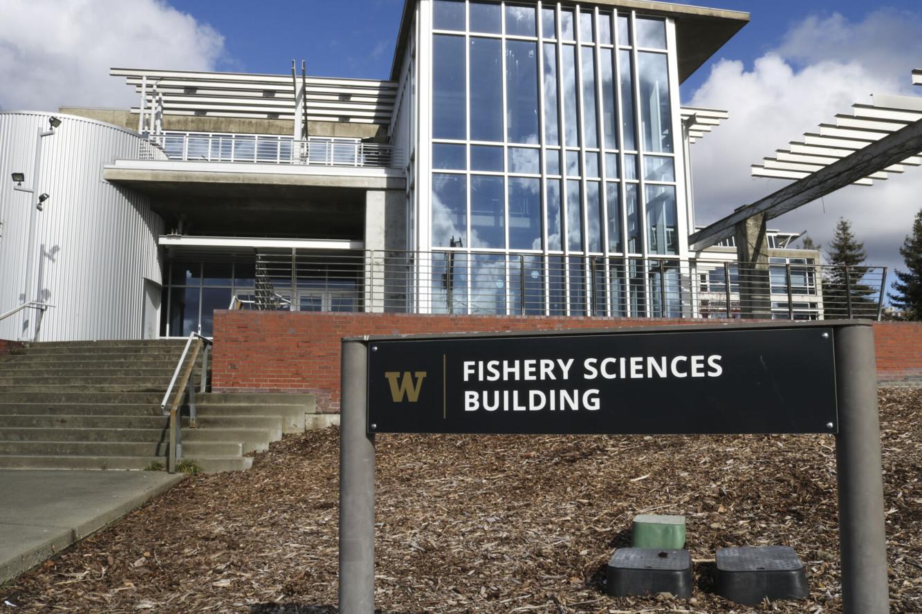 UW’s EarthLab announces environmental justicethemed visual arts