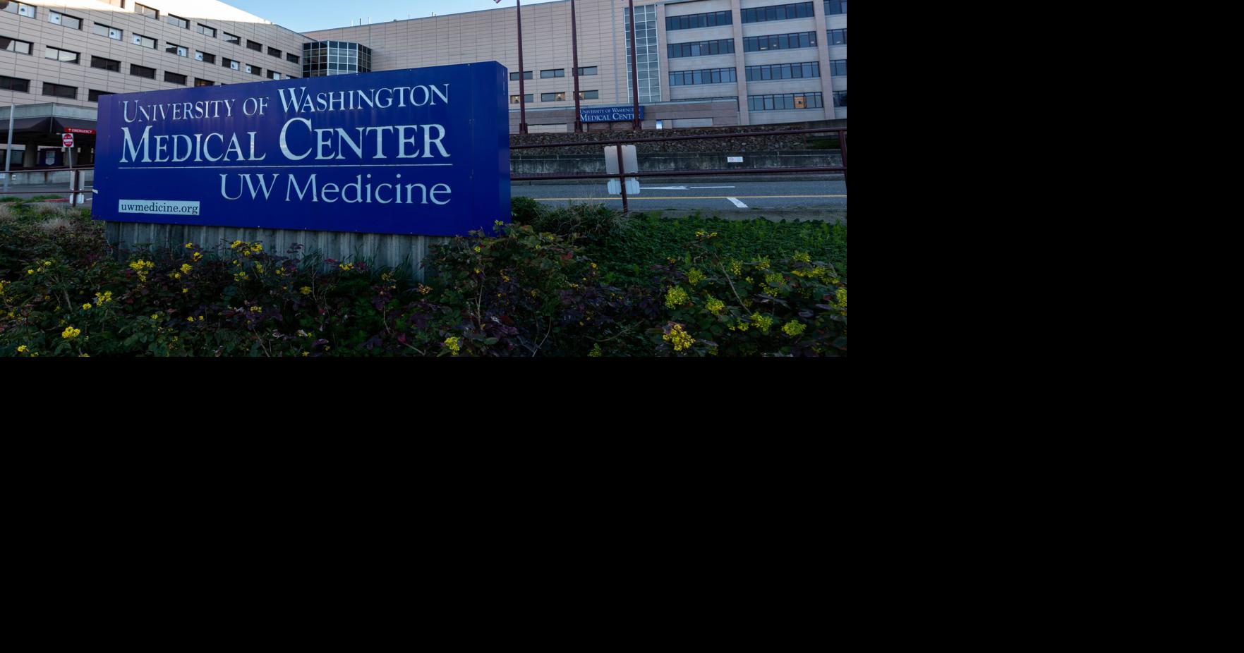 UW Department of Medicine recognizes top women medical professionals | News