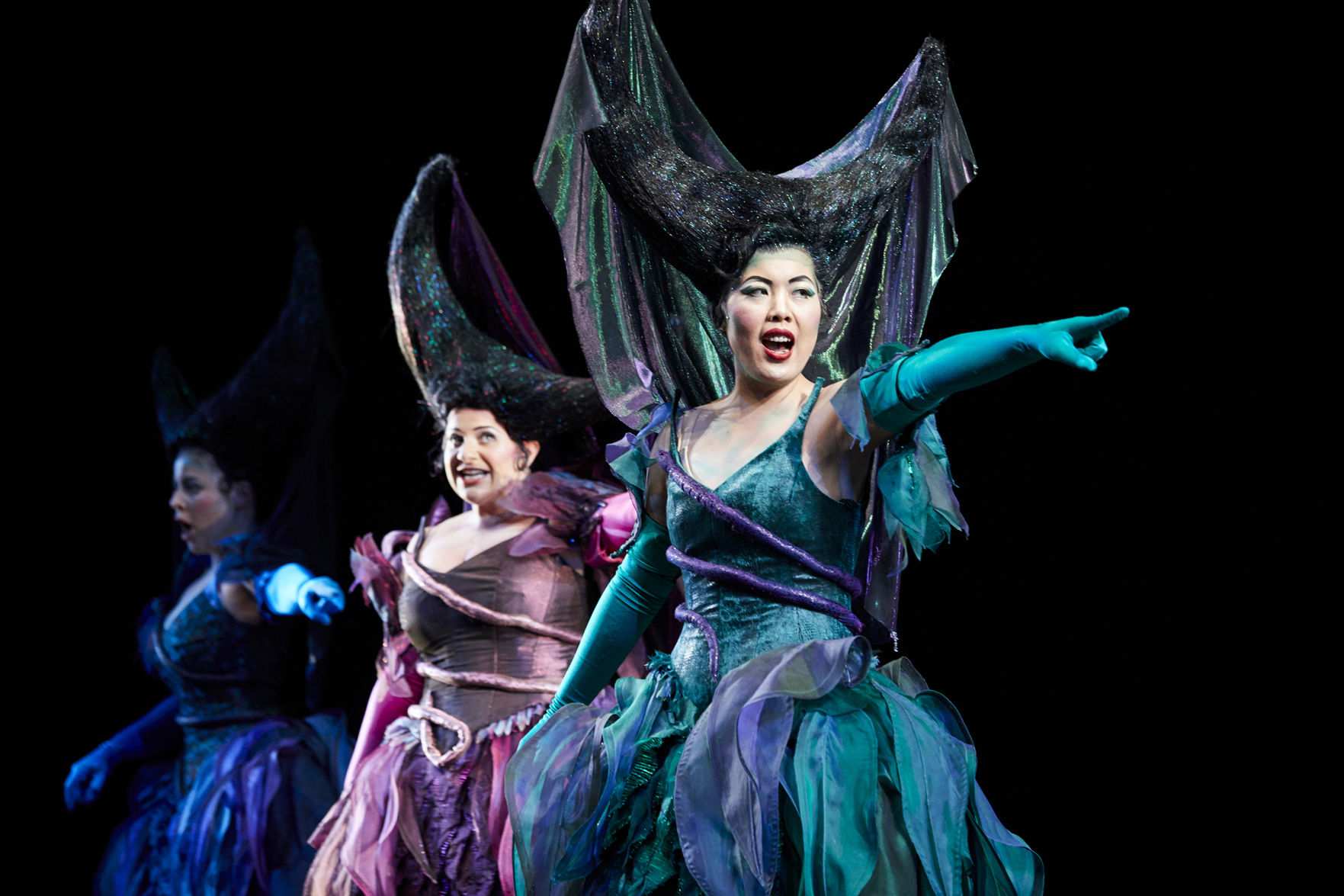download the magic flute download the magic flute