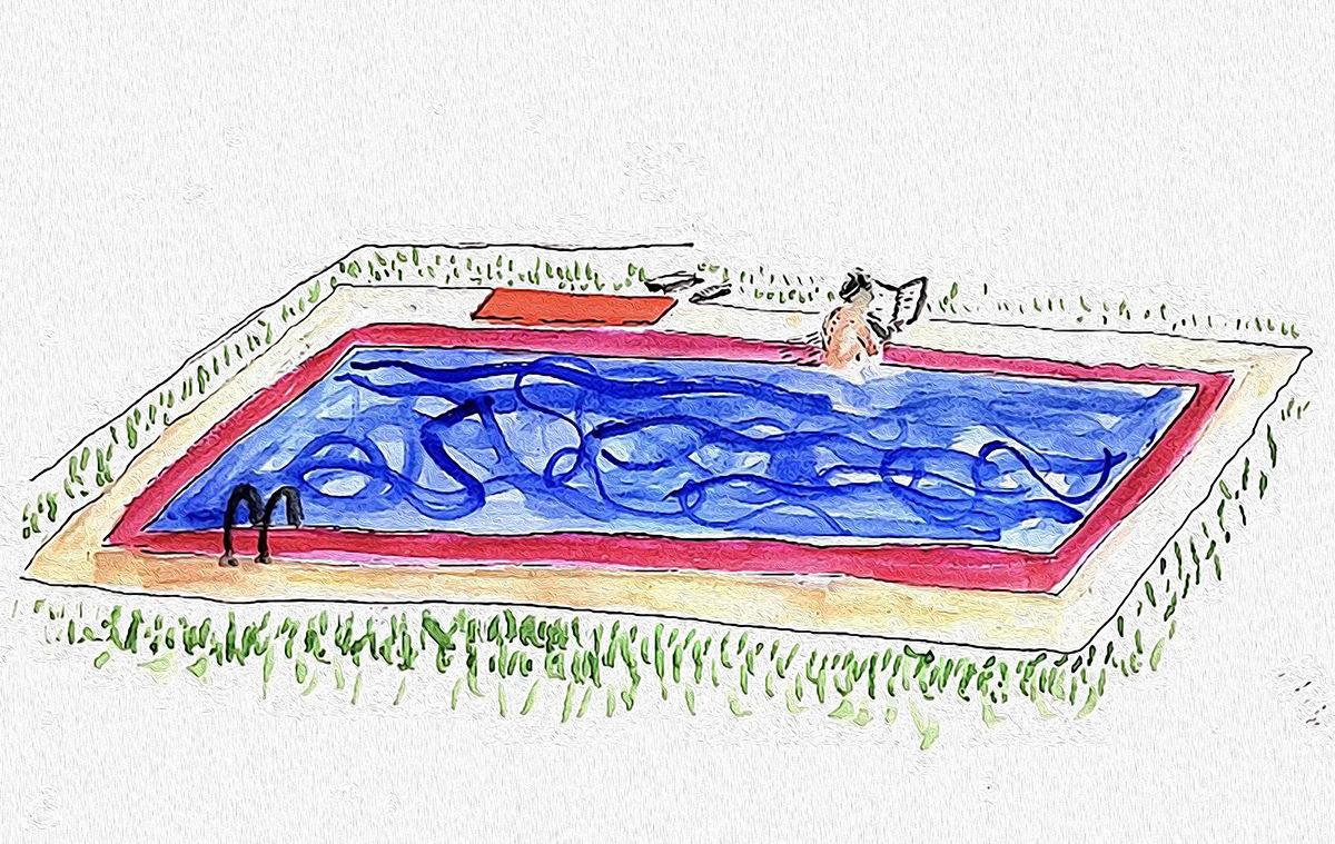Reading Poolside The Sound Of Gravel By Ruth Wariner Arts And
