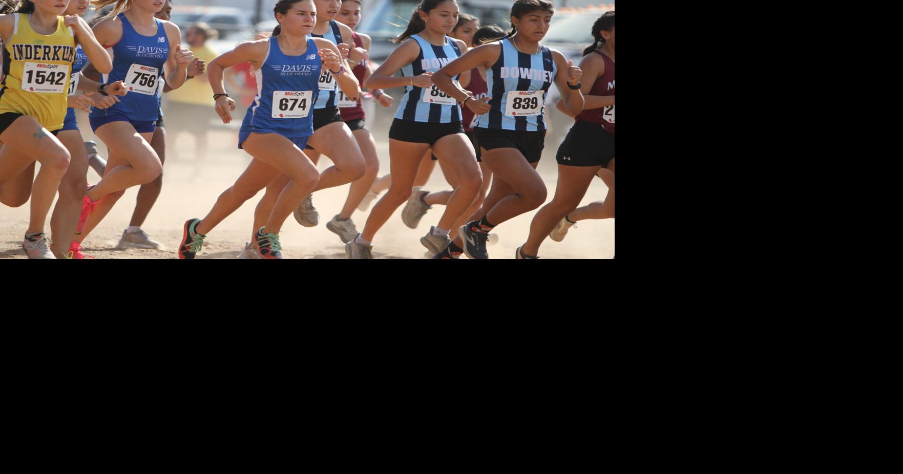 DHS harriers set up well for finals Sports