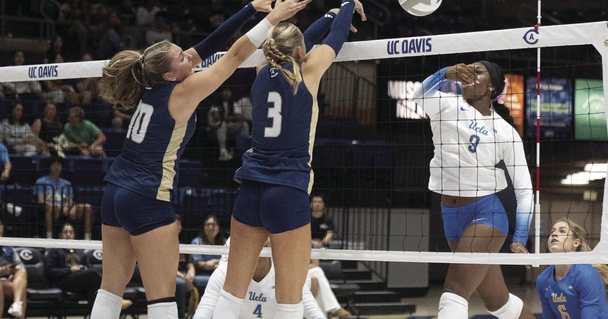 UCD volleyball bounces back for first-ever win over UCLA | Sports | davisenterprise.com ucd-volleyball-bounces-back-for-first-ever-win-over-ucla-sports-davisenterprise-com