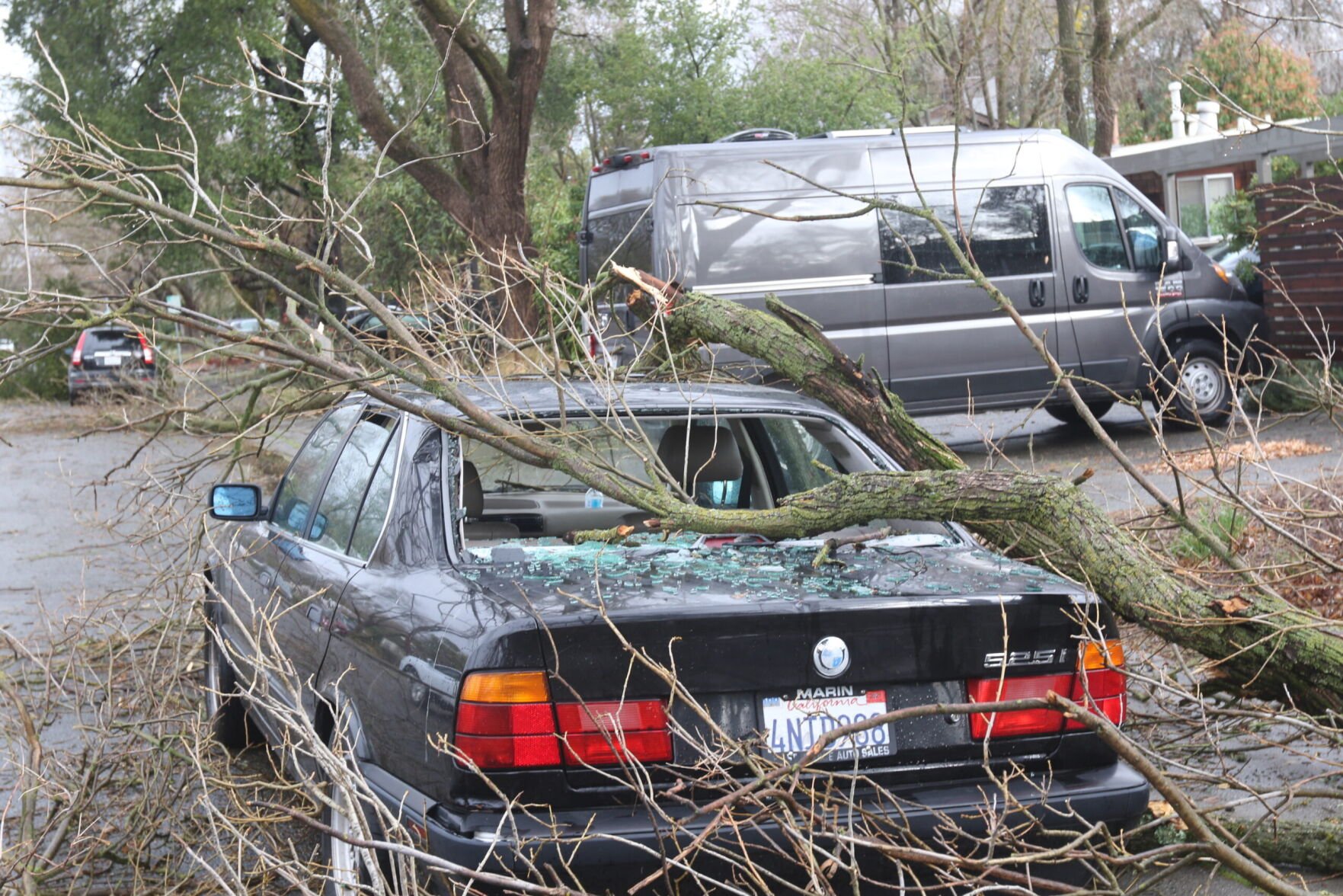 Flood Advisory Issued As Storm Knocks Out Power, Uproots Trees Across ...