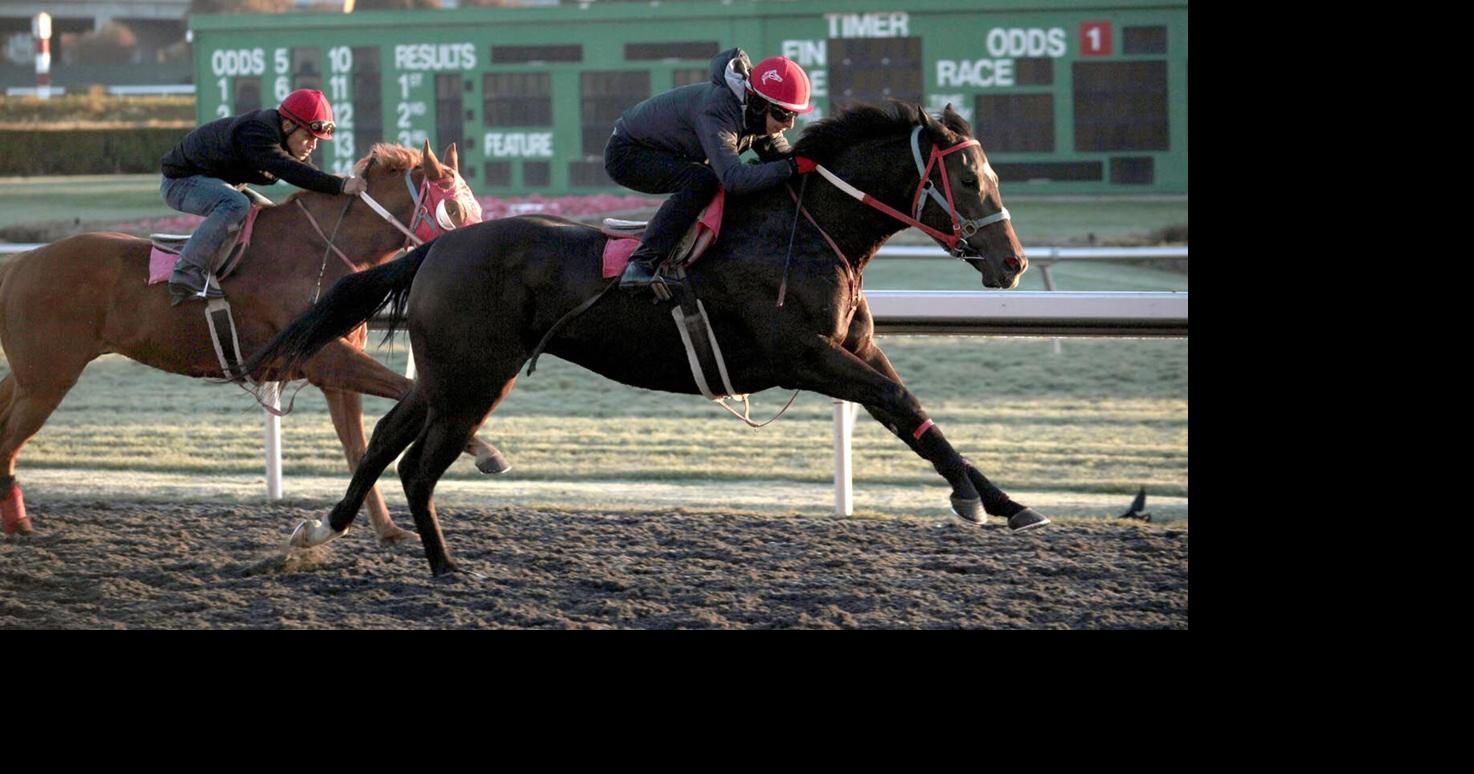 California to buy defunct horse track and turn it into the Bay Area’s newest public park