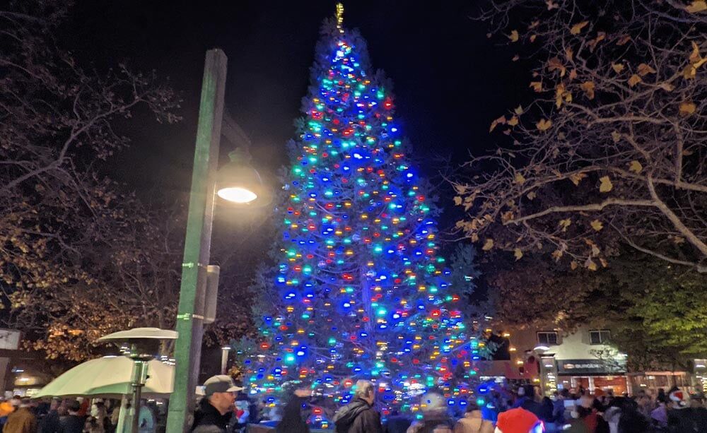 South Coast Plaza Christmas Tree Lighting Ceremony