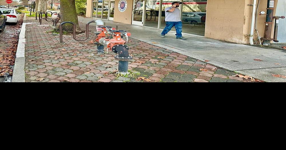 Comings & Goings Western Feed & Pet Supply closes Davis store