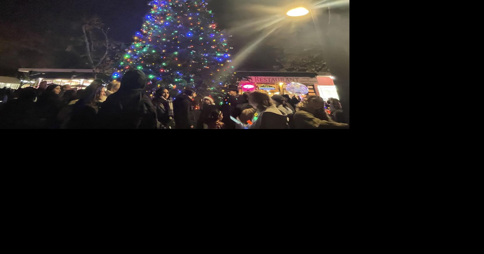 City celebrates holiday tree lighting downtown News