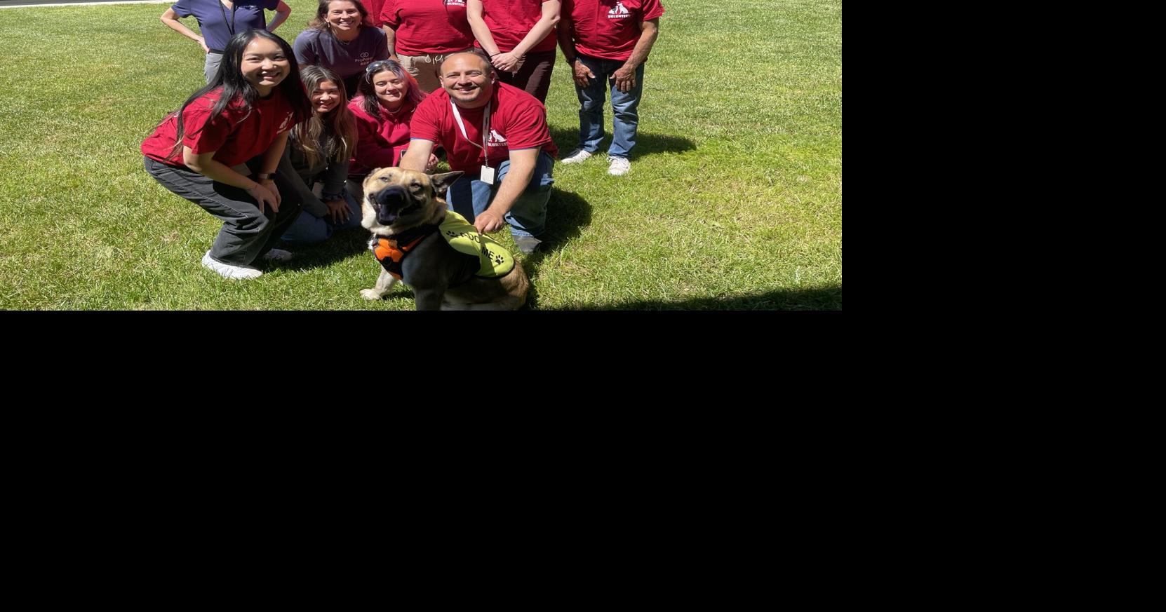 ProFarm shelter program supports dogs, boosts office morale