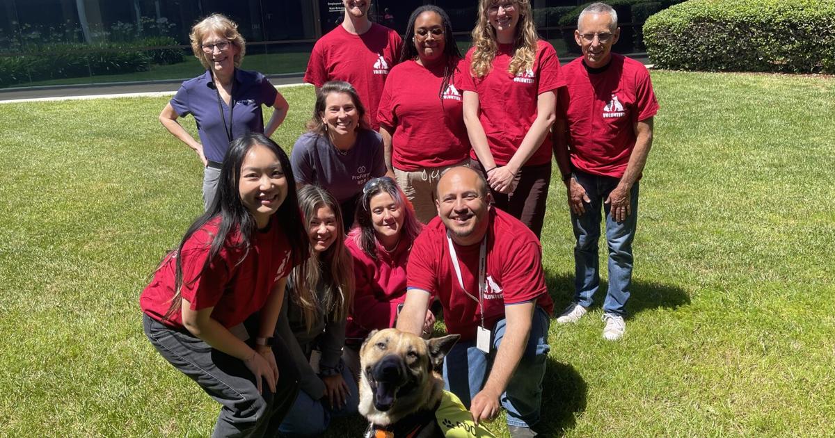 ProFarm shelter program supports dogs, boosts office morale