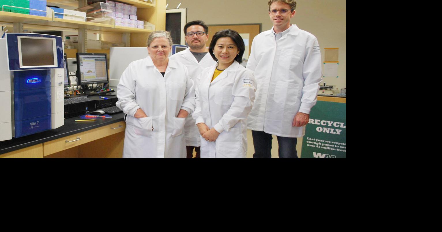 UCD entomologist teams with NASA on mosquito research | News ...