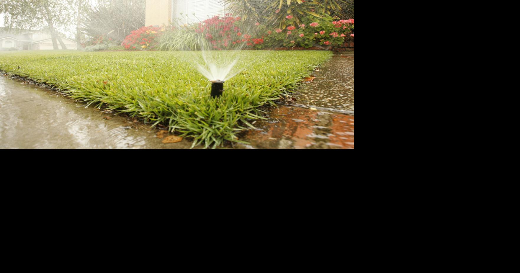 Environmental Update: Spring irrigation and landscaping tips | Features ...