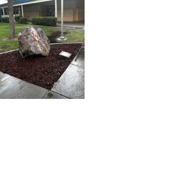 Class of 1976 donates Pride Rock to Davis High, gears up for 50th reunion