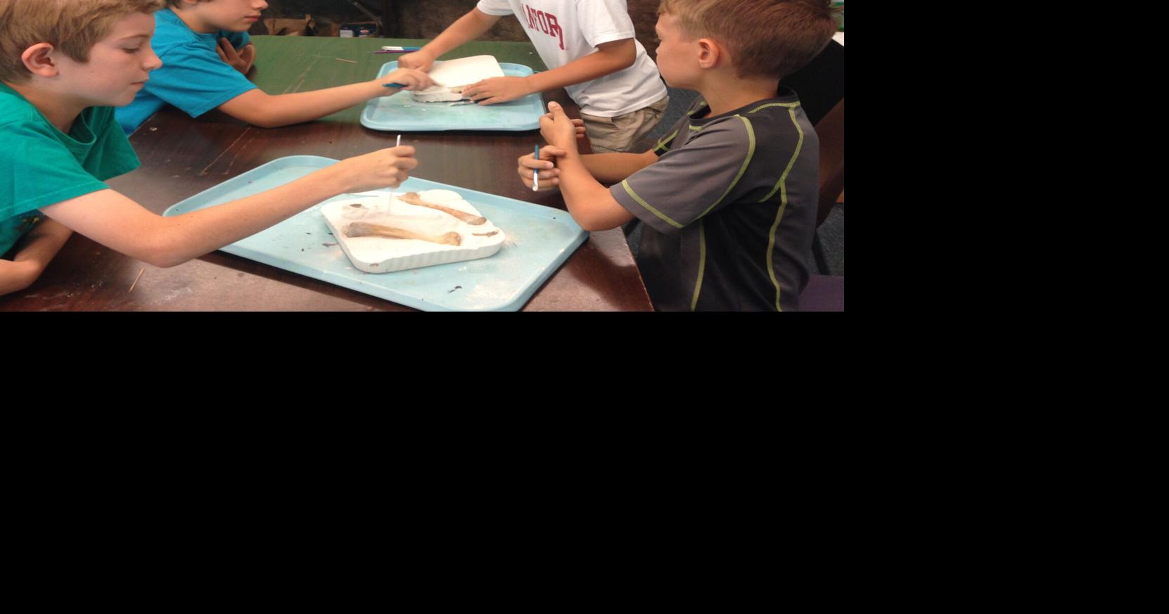 Explorit: Digging science with fossils | Archives | davisenterprise.com