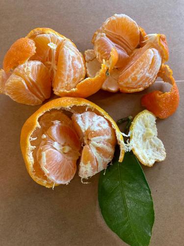 Clementine vs Mandarin - Healthier Steps
