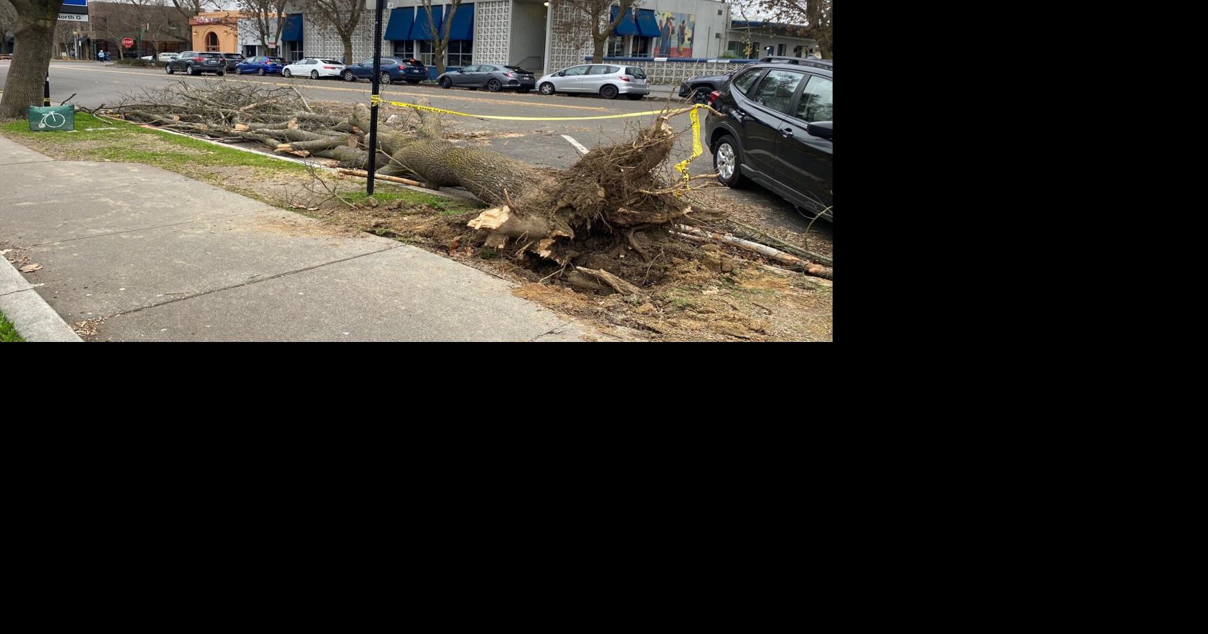 Cleanup continues weeks after severe storms | City government ...