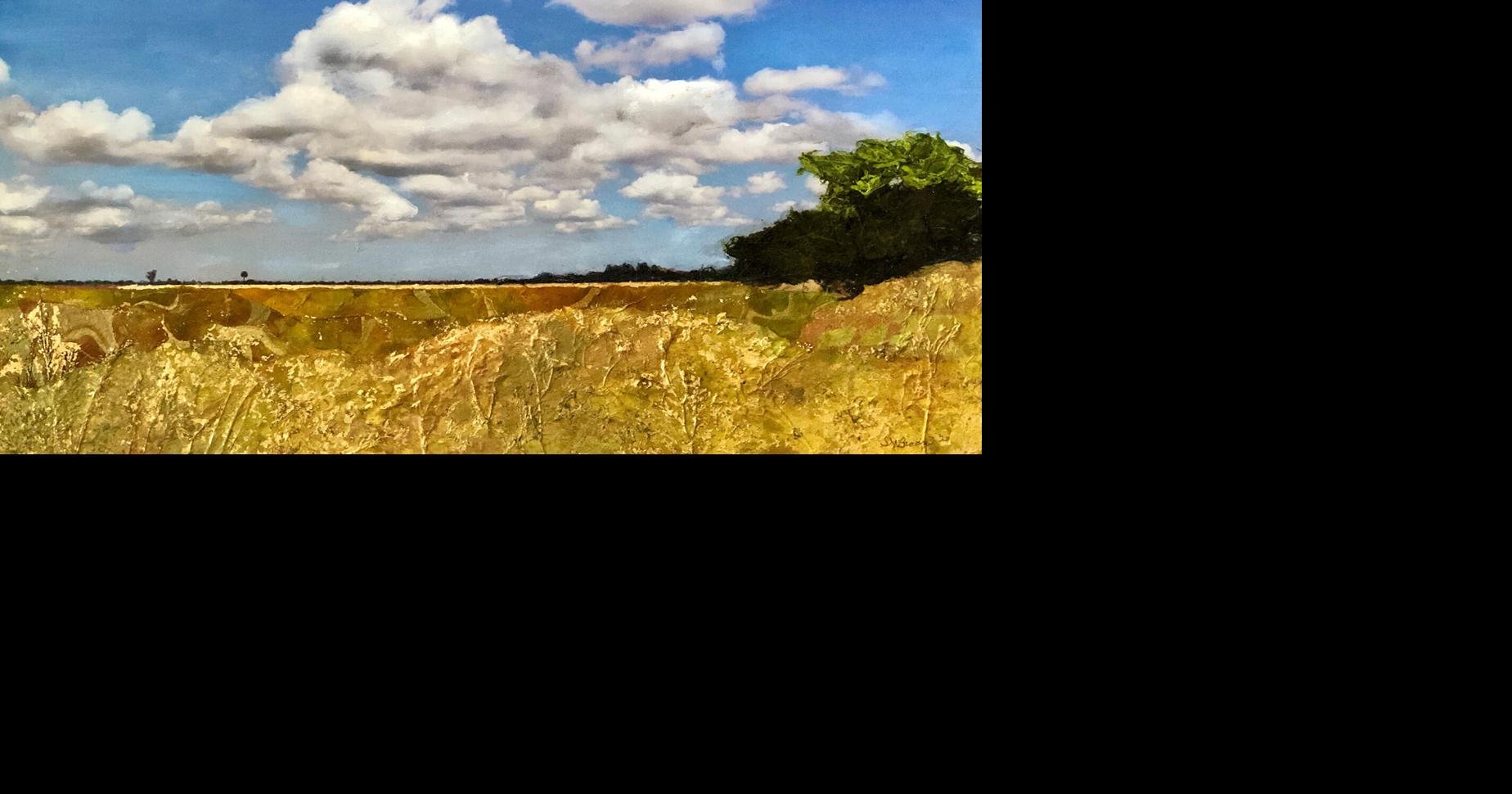 Davis artist earns award in PBS KVIE Art Auction | Art ...