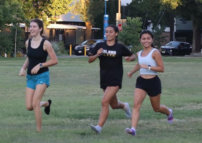 Cross Country Dhs Teams Getting Strong