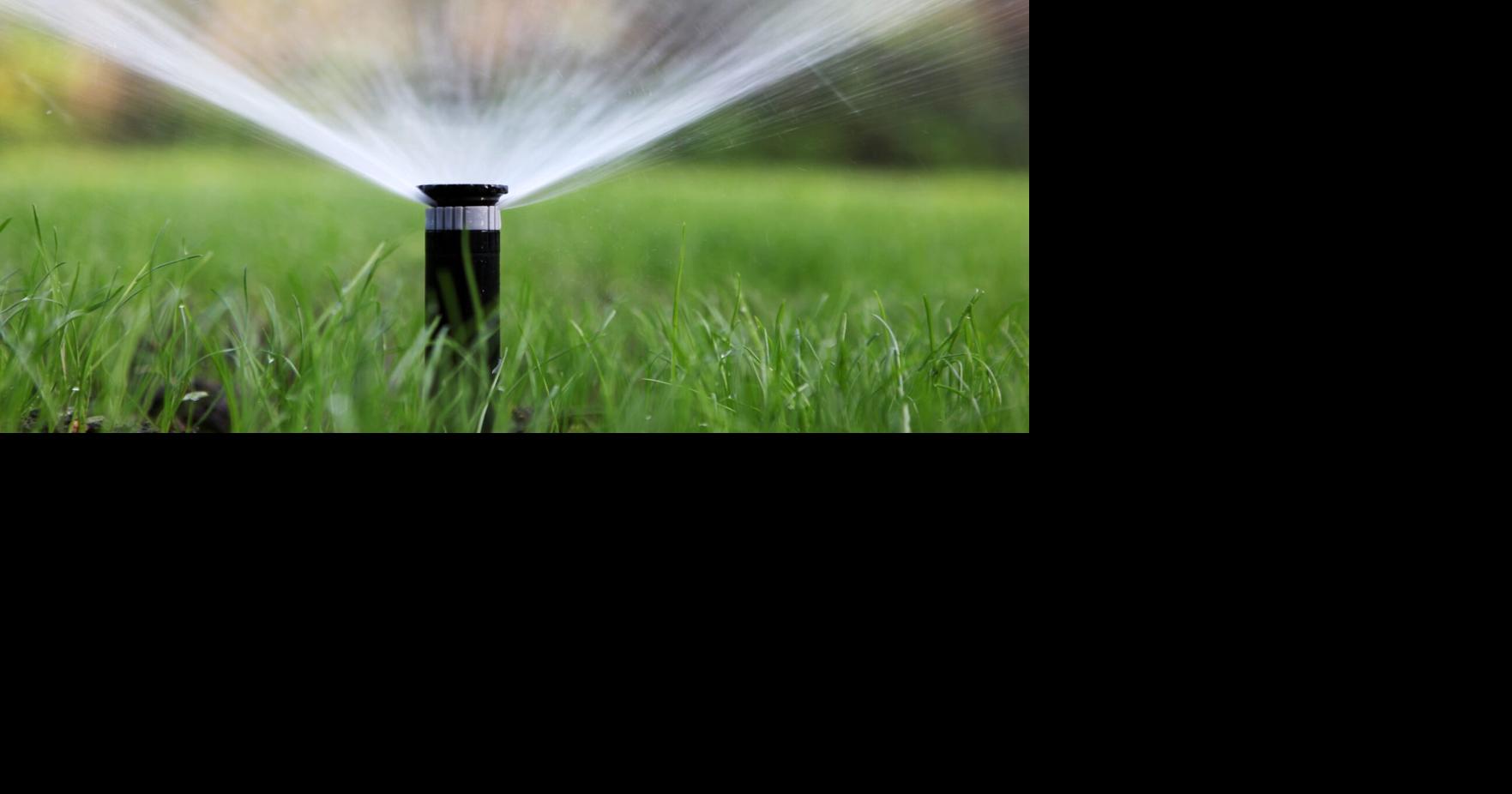 Environmental Update: Spring irrigation and landscaping tips | Features ...