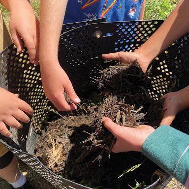 Davis Farm to School: What 56 years of gardening can do - Vimarsana News
