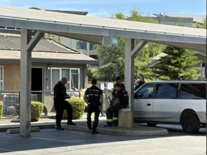 Fatal apartment fire investigated in South Davis