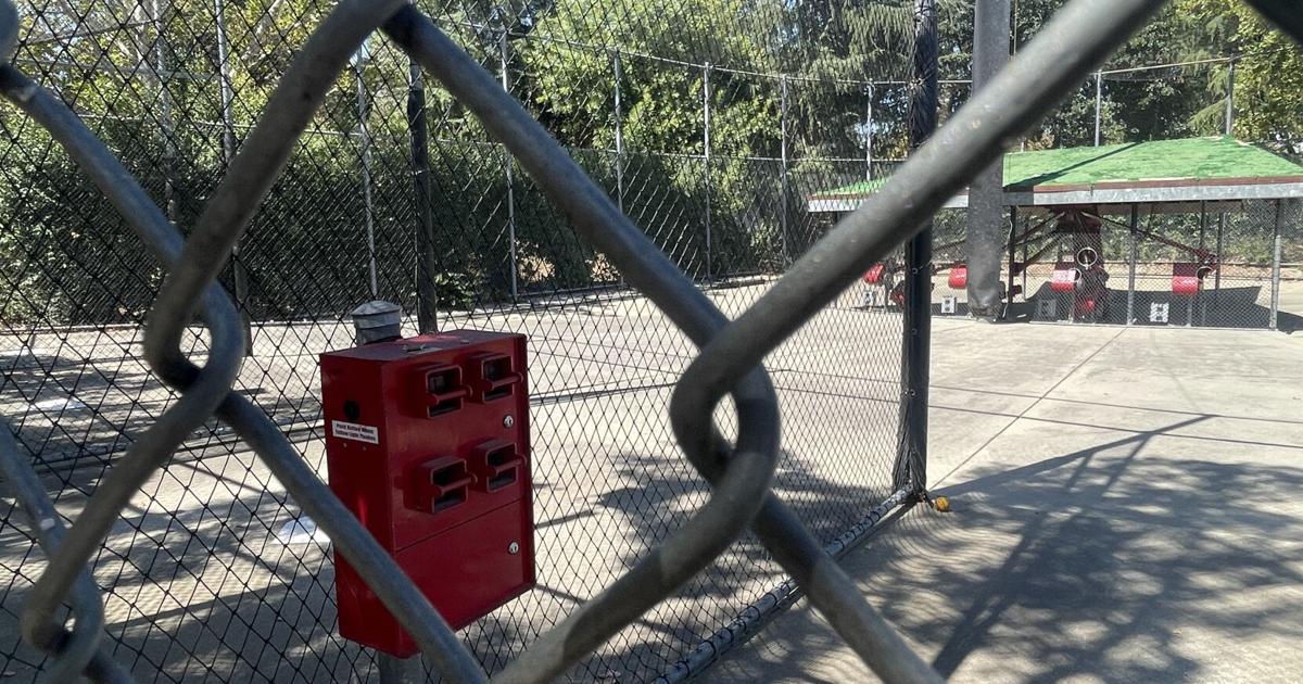 Fee increase at Playfields Park batting cages ruffles feathers
