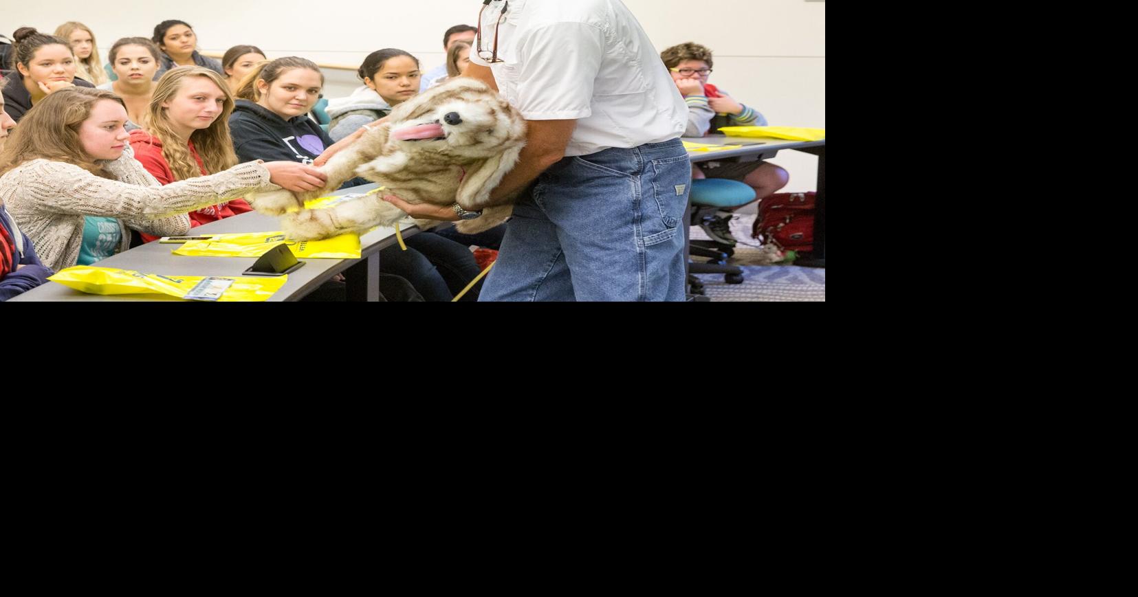 High schoolers in vet science class get a peek into the future at UCD