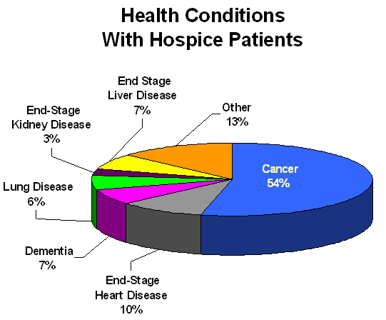 YoloCares: Surprising and little-known facts about hospice, Features